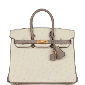 Hermès Birkin HSS 25 Beton and Gris Asphalte Ostrich Brushed Gold Hardware