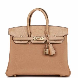 Hermès Birkin 25 Chai Matte Alligator Togo Touch Gold Hardware
