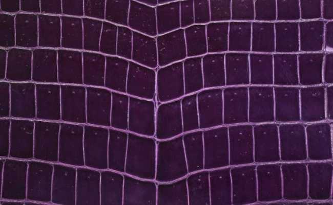 hermes-aubergine-color