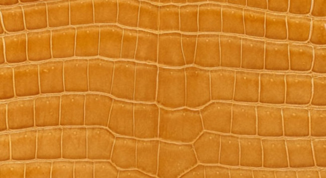hermes-beige-sable-color