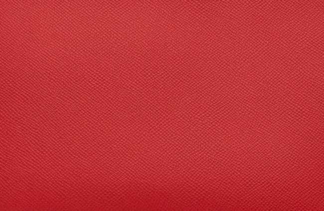 hermes-bougainvillier-color