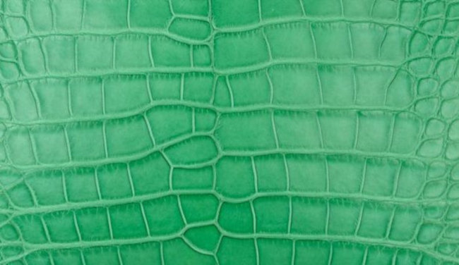 hermes-cactus-color