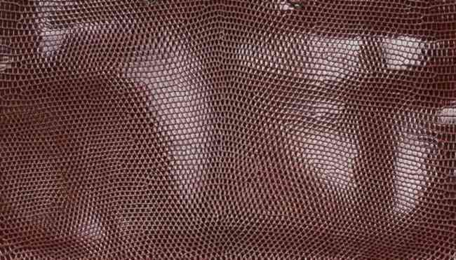 hermes-cocaon-color