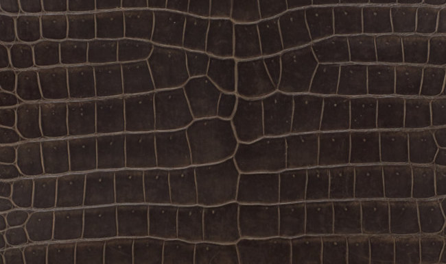 hermes-havane-color