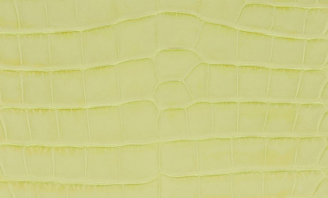 hermes-jaune-bourgeon-color