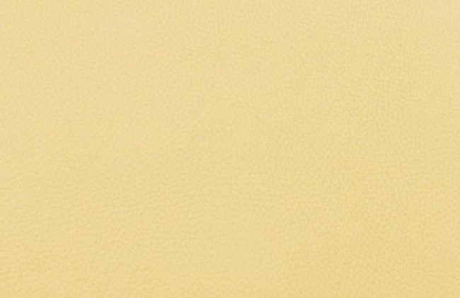 hermes-jaune-poussin-color