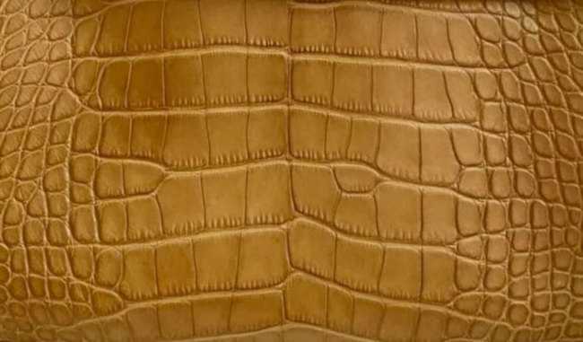 hermes-kraft-color