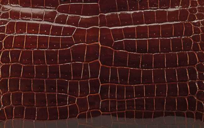 hermes-miel-color