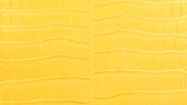 hermes-mimosa-color