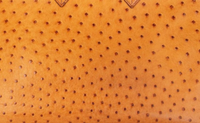 hermes-ostrich-skin