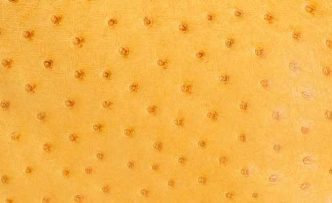 hermes-saffron-color