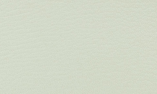 hermes-vert-fizz-color