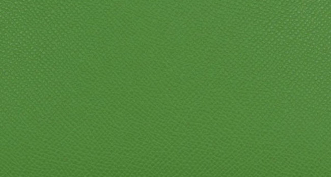 hermes-vert-yucca-color