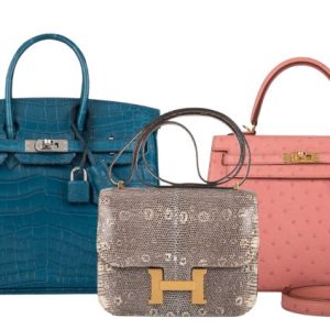 buy-exotic-skin-hermes-bag