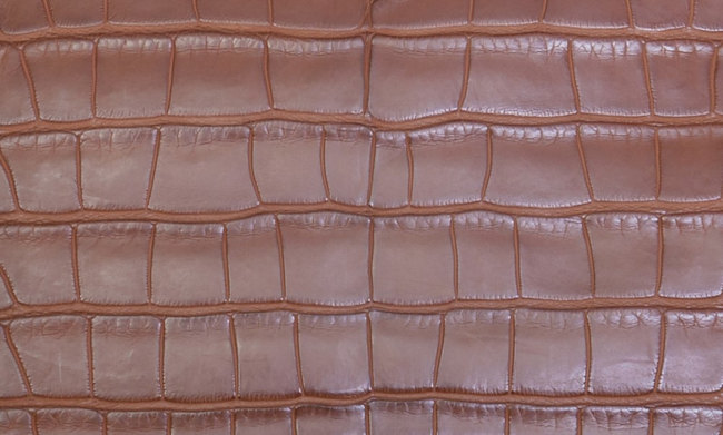hermes-alligator-mississippiensis