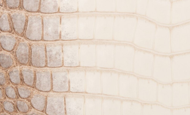 hermes-niloticus-crocodile-skin