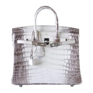 Hermès Birkin 25 White 01 Niloticus Crocodile Matt