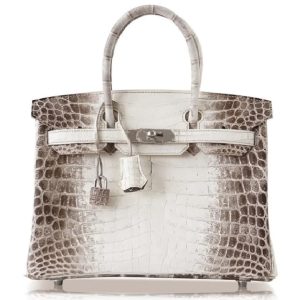 Hermès Birkin Himalaya 25 White 01 Niloticus Crocodile Matt 2016 X