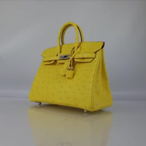 Hermès Birkin  25 Jaune Citron 9N Ostrich U