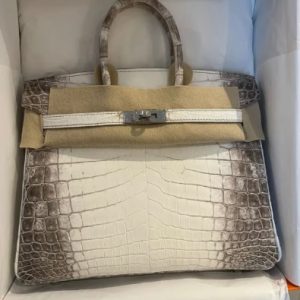 Hermès Birkin Himalaya 25 White 01 Niloticus Crocodile Matt 2023 B