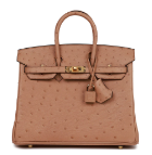 Hermès Birkin  25 Chai 0M Ostrich U