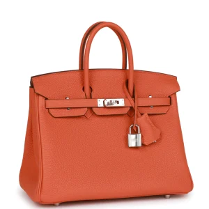 Hermès Birkin  25 Orange H 93 Togo W