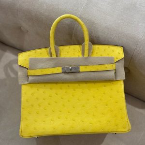 Hermès Birkin  25 Jaune Citron 9N Ostrich 2022 U