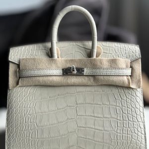 Hermès Birkin  20 Beton 8L Alligator Matt 2024 B