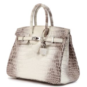 Hermès Birkin Himalaya 25 White 01 Niloticus Crocodile Matt T