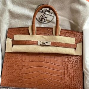 Hermès Birkin  25 Gold 37 Alligator Matt 2024 W