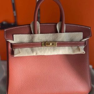 Hermès Birkin  25 Sienne  4E Togo 2024 B