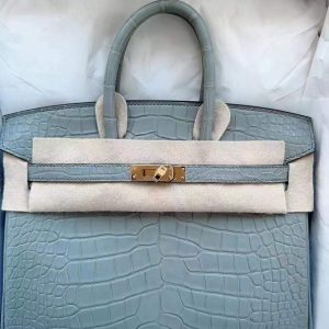 Hermès Birkin  25 Gris Pearl 80 Alligator Matt B