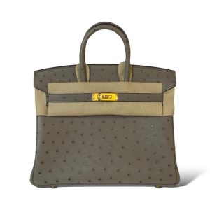 Hermès Birkin  25 Gris Tourterelle 81 Ostrich 2024