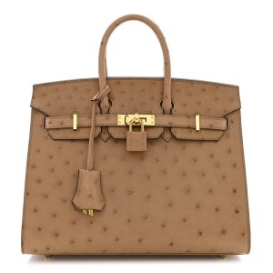 Hermès Birkin Sellier 25 Chai 0M Ostrich 2024 W