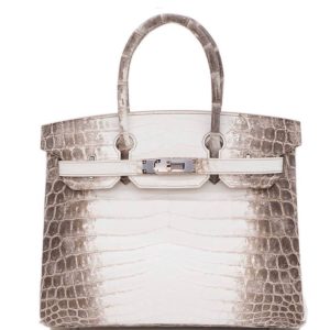 Hermès Birkin Himalaya 30 White 01 Niloticus Crocodile Matt 2016 T