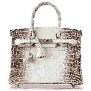 Hermès Birkin Himalaya 25 White 01 Niloticus Crocodile Matt 2022 U