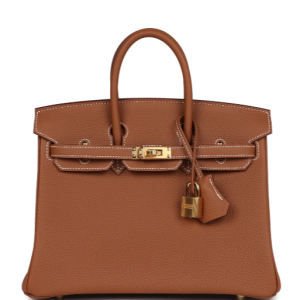 Hermès Birkin N/A 25 Gold 37 Togo 2023 B