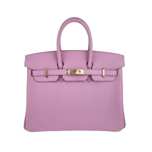 Hermès Birkin  25 Mauve Sylvestre X9 Swift 2024 W