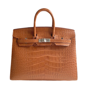 Hermès Birkin Sellier 25 Gold 37 Alligator Matt 2024 W