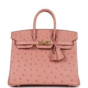 Hermès Birkin  25 Terre Cuite 94 Ostrich 2020 Y