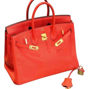 Hermès Birkin  25 Orange Feu 9J Togo 2016 X