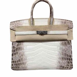 Hermès Birkin Himalaya 25 White 01 Niloticus Crocodile Matt 2020 Y