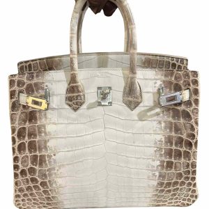 Hermès Birkin Himalaya 25 White 01 Niloticus Crocodile Matt 2015 T