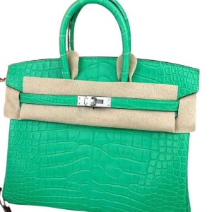 Hermès Birkin  25 Vert Comics 0Z Alligator Matt 2023 B