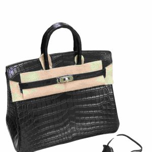Hermès Birkin  25 Black 89 Niloticus Crocodile Matt 2023 B