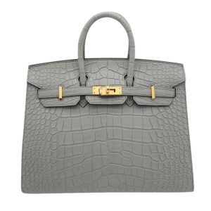 Hermès Birkin Sellier 25 Gris Ciment 0V Alligator Matt 2024 B
