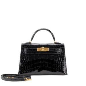Hermès Kelly Sellier 20 Prunoir 3W Alligator Shiny 2024 W