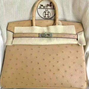 Hermès Birkin  25 Chai 0M Ostrich 2023 B