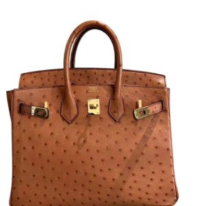 Hermès Birkin  25 Gold 37 Ostrich 2021 Z