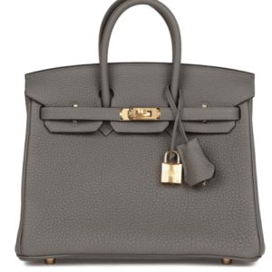 Hermès Birkin  25 Gris Meyer 0L Togo 2023 W